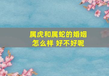 属虎和属蛇的婚姻怎么样 好不好呢